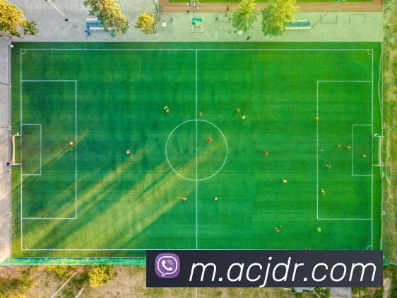 九游9官网入口APP 体育赛事宣传图